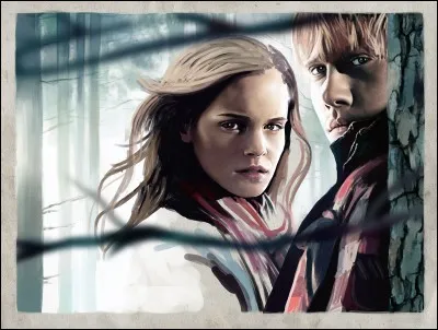 Ron Weasley et Hermione Granger ont eu combien d'enfants ?