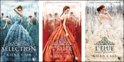 Qui est le héros ou l'héroïne de la saga "La Sélection" ?