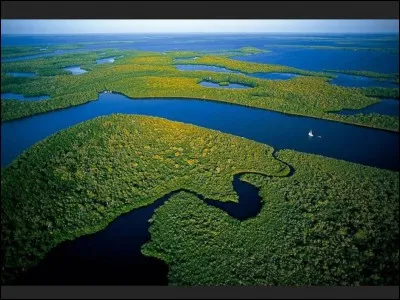 Dans quel Etat des Etats-Unis les Everglades se situent-ils ?