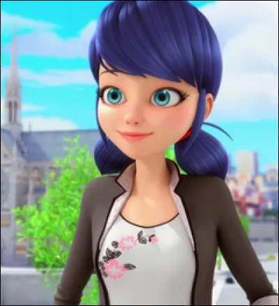 Que penses-tu de Marinette ?