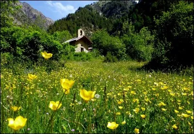 Quelle discipline équestre te correspond le plus ?