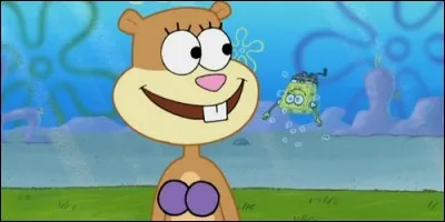 Dans "Bob l'éponge", d'où vient Sandy ?