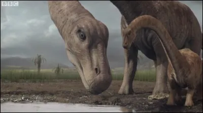 Quel est le plus petit sauropode ?