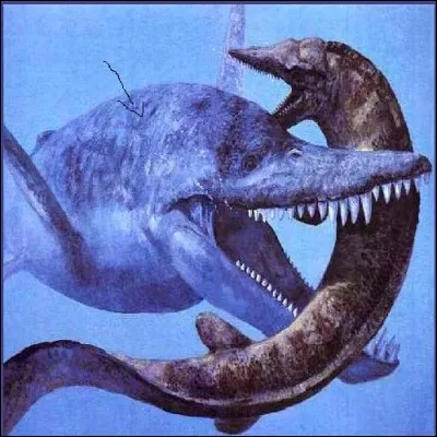 Qui gagne entre un liopleurodon et un prédator x ?