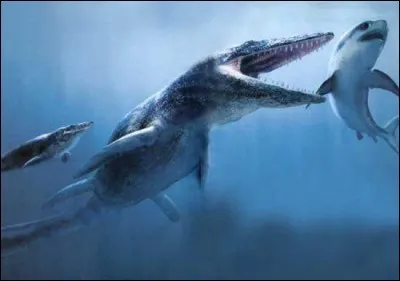 Quel est ce reptile marin ?