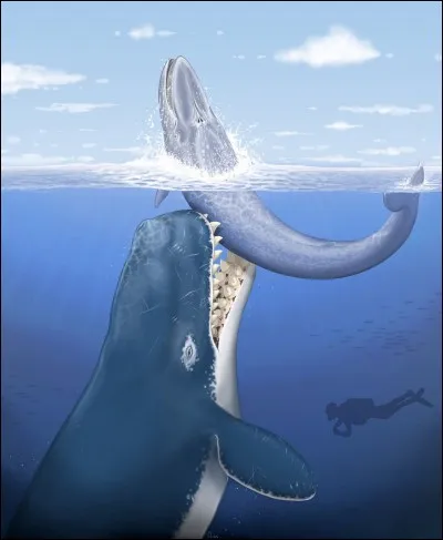 Le monstre du Loch Ness existe-t-il ?