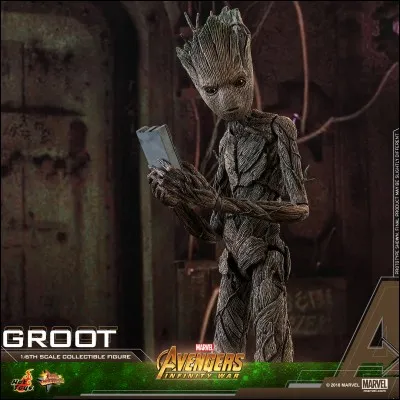 Groot est :
