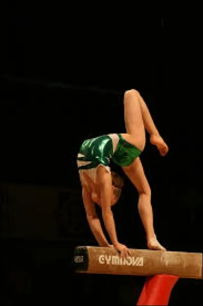 Quel est le nom de cet agrès ?