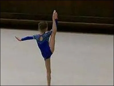 Quel est le nom de cette figure ?