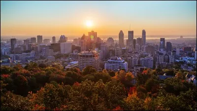 A Montréal, le français est la langue maternelle d'environ :