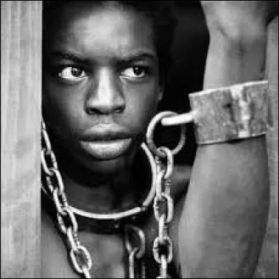 ''J'aurais été chez Kunta Kinte ou sur ------------ 
Pour leur donner des fusils avant que les colons arrivent''

Quelle île était la plaque tournante de la traite des Noirs en Afrique ?