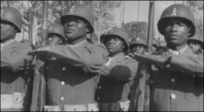 ''J'aurais été voir les tirailleurs africains 
Pour leur dire qu'on traite leurs enfants de sales immigrés''

Quel régiment de tirailleurs africains n'a jamais existé dans l'armée française ?