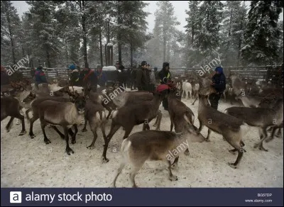 Le gagnant de la meilleure baguette de Paris en 2017 est Sami Bouattour.