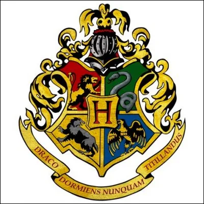 Arrivé au cours d'histoire de la magie, le professeur Binns vous donne un devoir à faire à trois. Mais pour plus de fun, Binns précise que le trio qui aura donné la meilleure rédaction aura le droit à un indice sur le sujet du prochain contrôle. Que fais-tu ?