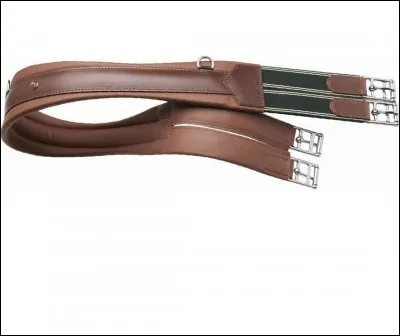 Quelle est cette chose ?