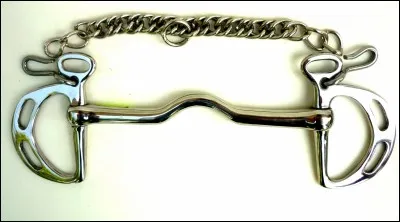 Quelle est cette chose ?