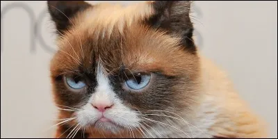 Cet animal n'est pas empaillé. Vrai ou faux ?