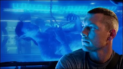 Quel statut possède Jake Sully ?