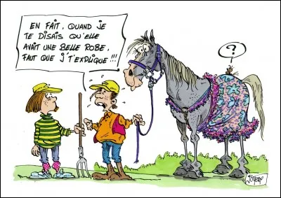 De quelle couleur est la robe 'isabelle' d'un cheval ?
