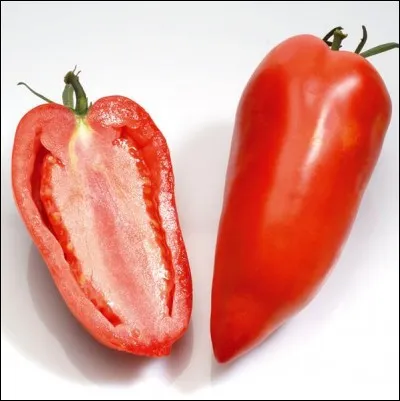 Quelle est cette tomate ?
