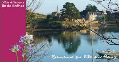 Comment nomme-t-on les r&eacute;sidents de l'Ile-d-Br&eacute;hat (C&ocirc;tes-d'Armor) ?