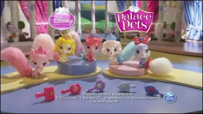 Votre animal préféré est le...