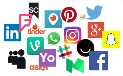 Quel est votre réseau social favori ?