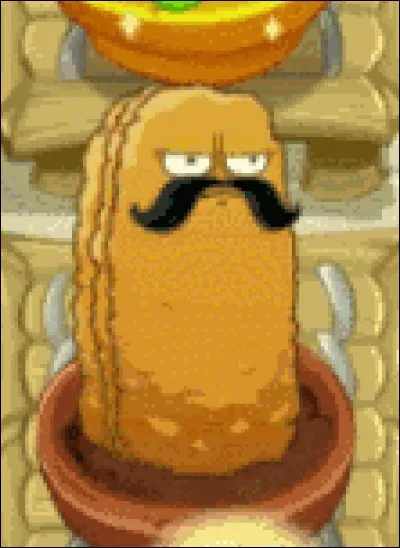 Quelle est cette plante ?