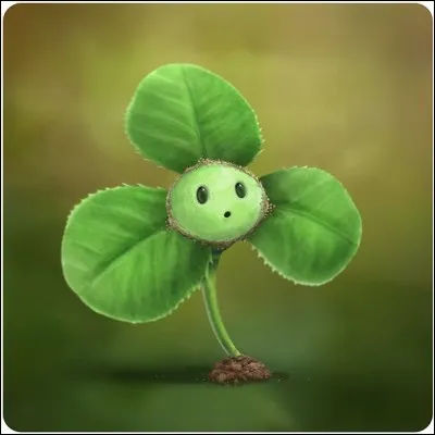 Quelle est cette plante ?