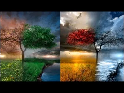 Quel paysage préfères-tu ?