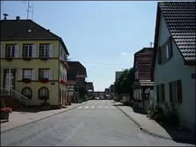 Commune du Grand-Est, dans l'arrondissement de Haguenau-Wissembourg, Trimbach se situe dans le d&eacute;partement ...