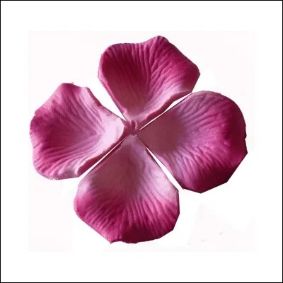 Quel est le genre du nom "pétale" ?