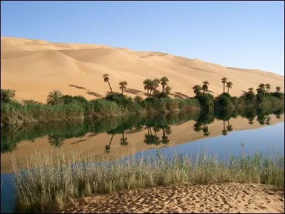 Quel est le genre du nom "oasis" ?