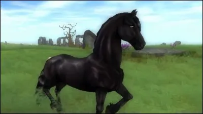 A partir de quel niveau pouvons-nous acheter ce cheval ?