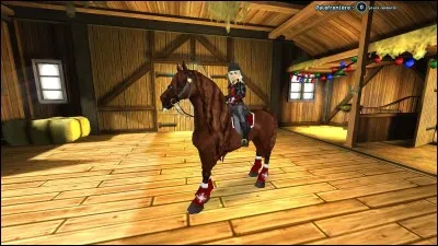 Quelle est la race de ce cheval ?