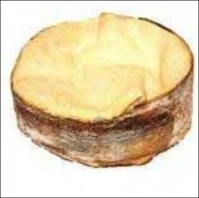 Quel est ce fromage ?