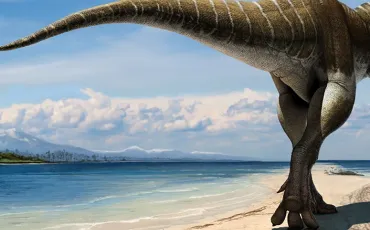 Quiz Dinosaures