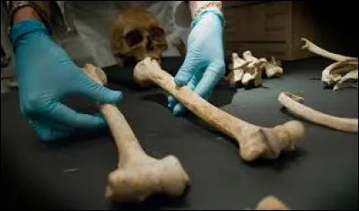 Comment &eacute;crit-on le mot suivant ?