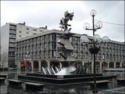 Ceux de Sarcelles (Val-d'Oise) se nomment ...