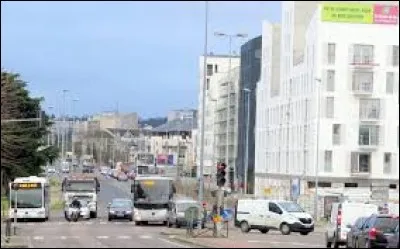 &Agrave; Carri&egrave;res-sous-Poissy (Yvelines), les habitants portent le gentil&eacute; ...