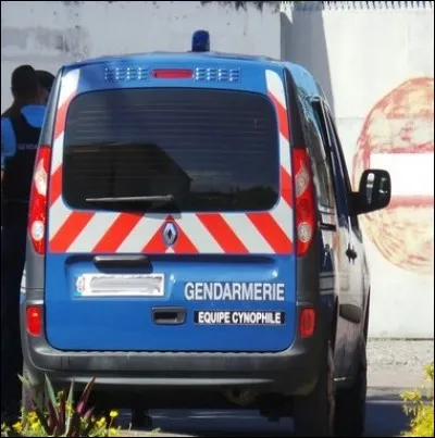 L'équipe cynophile utilise comme animaux...