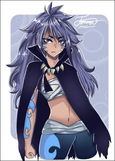 Qui dans « Fairy Tail » a dit "Ici, on est à Fairy Tail, la guilde qui ne connaît pas le mot "STOP" !" ?