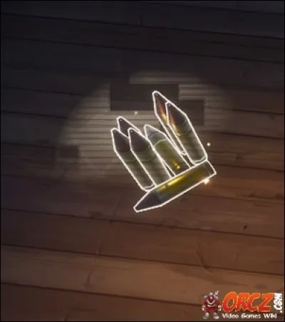 De quelle arme viennent ces munitions ?