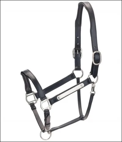 Comment cet équipement s'appelle-t-il ?