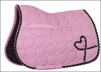 Comment cet équipement s'appelle-t-il ?