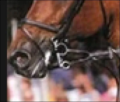 Comment cet équipement s'appelle-t-il ?