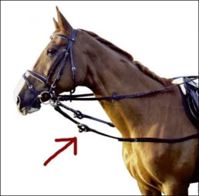 Comment cet équipement s'appelle-t-il ?