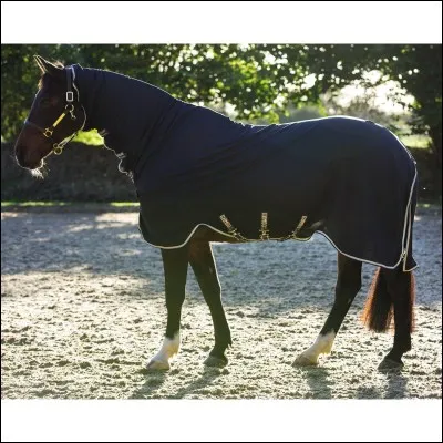 Comment cet équipement s'appelle-t-il ?