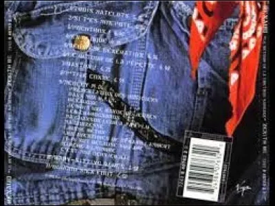 Dans sa chanson "Pochtron", que préconise Renaud à celui-ci ?