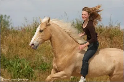 Quelle est ta complicité avec lui ?